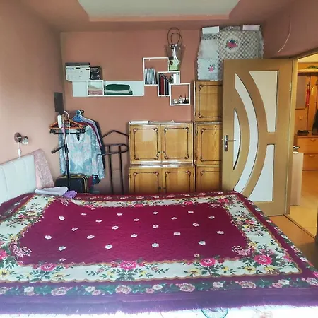 Dorobantilor House Gazde/Camere de închiriat *