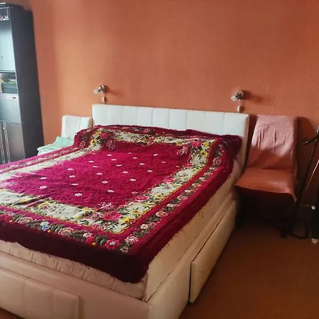 Dorobantilor House Gazde/Camere de închiriat
